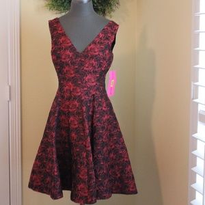NEW Betsy Johnson Cocktail Dress